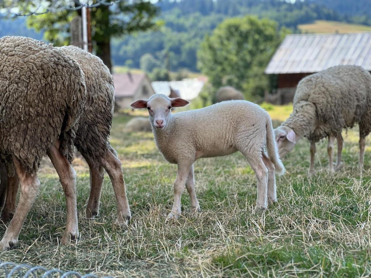 Penzion Hrubjak Oravska Polhora Luaran gambar